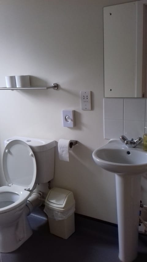 Twin Room | Bathroom | Shower, free toiletries, hair dryer, towels