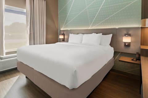 One King bed, non smoking, suite | Premium bedding, pillowtop beds, in-room safe, desk