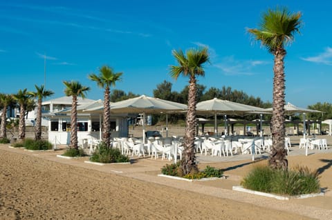 Beach nearby, sun loungers, beach umbrellas, beach yoga