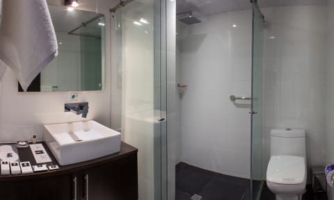 Elite Room (Deluxe Platino) | Bathroom | Shower, free toiletries, hair dryer, slippers