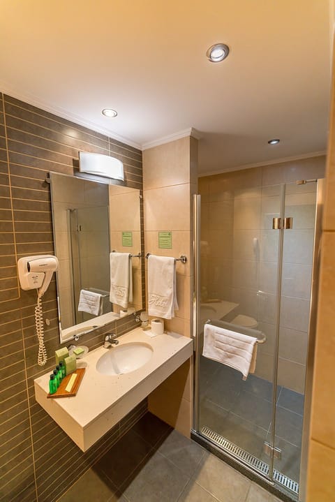 Business Apartment | Bathroom | Shower, free toiletries, hair dryer, towels