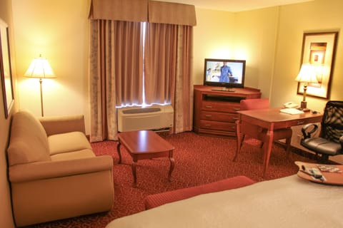 Suite, 1 King Bed | In-room safe, iron/ironing board, WiFi, bed sheets