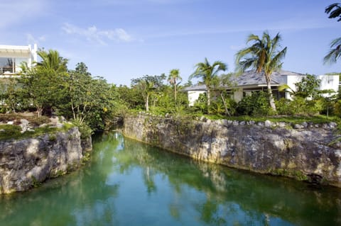 Cenote Lagoon Deluxe Junior Suite | Egyptian cotton sheets, premium bedding, free minibar, in-room safe