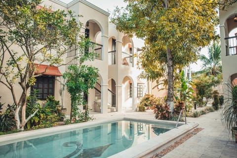 Outdoor pool, sun loungers