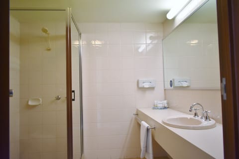 Standard Twin Room | Bathroom | Shower, hair dryer, towels