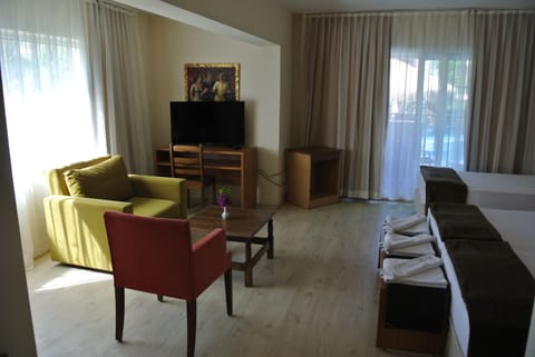 Suite, 1 Bedroom | Living area | TV