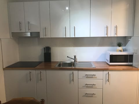 Family Apartment, 2 Bedrooms | Private kitchen | Fridge, microwave, electric kettle