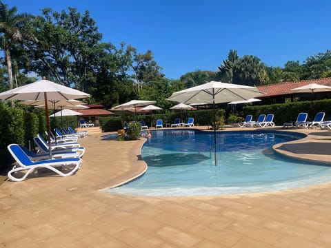 Outdoor pool, sun loungers