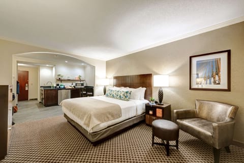 Room, 1 King Bed, Non Smoking (Efficiency) | Premium bedding, desk, blackout drapes, iron/ironing board