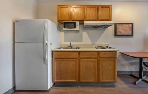 Full-size fridge, microwave, stovetop, freezer