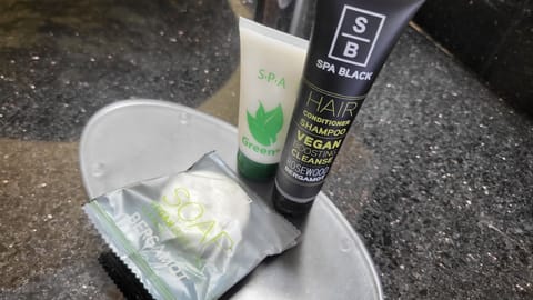 Shower, free toiletries, hair dryer, towels