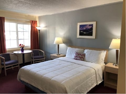 Classic Room, 1 Queen Bed | View from room