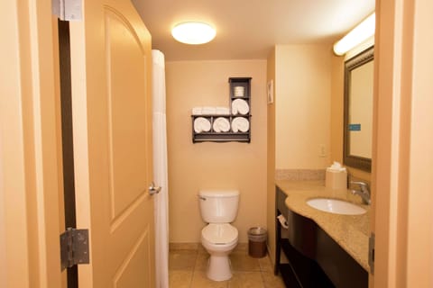Room, 1 King Bed, Non Smoking | Bathroom | Free toiletries, hair dryer, towels