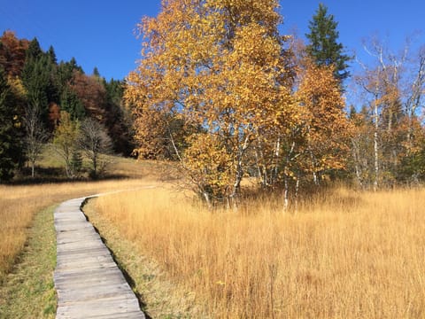 Hiking