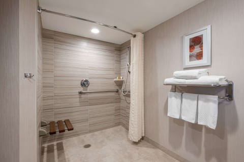 Room, 1 King Bed, Accessible (Mobility, Roll-In Shower) | Bathroom shower