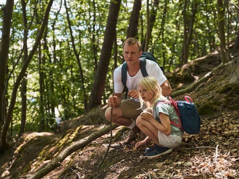 Hiking