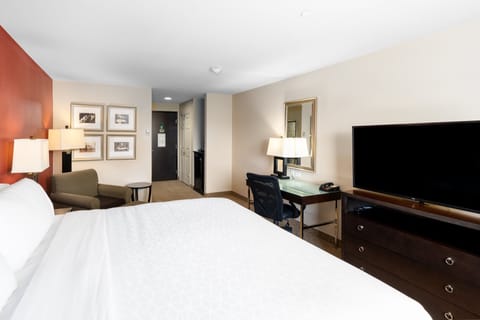 Premium Room, 1 King Bed | Desk, blackout drapes, iron/ironing board, rollaway beds