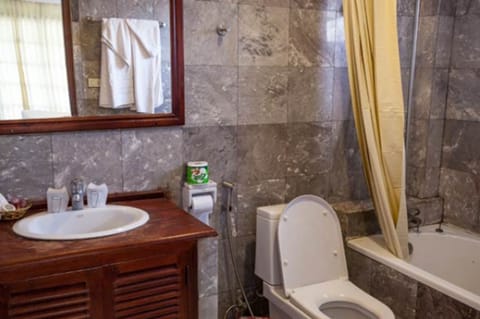 Deluxe Double Room | Bathroom | Combined shower/tub, rainfall showerhead, free toiletries, hair dryer