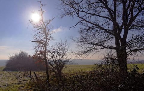 Region [summer] (>5 km)