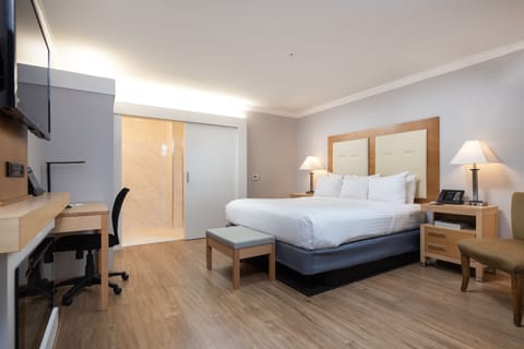 Deluxe Single Room, 1 King Bed, Accessible | Premium bedding, down comforters, in-room safe, desk