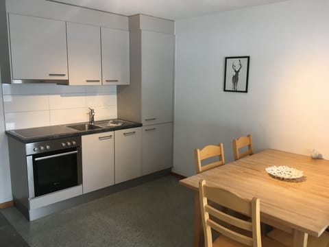 Standard Apartment, 2 Bedrooms, Balcony | Private kitchen | Fridge, oven, stovetop, dishwasher