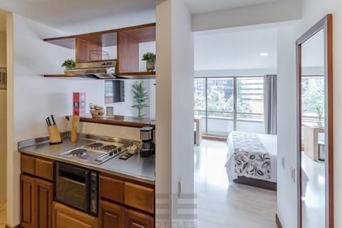 Junior Suite | Private kitchen | Fridge, microwave, stovetop, griddle