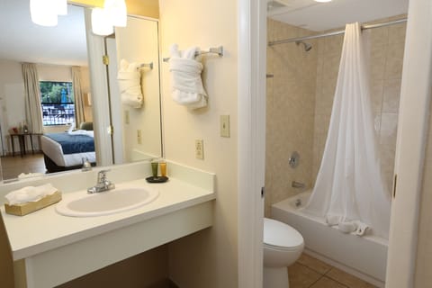 Combined shower/tub, free toiletries, hair dryer, towels