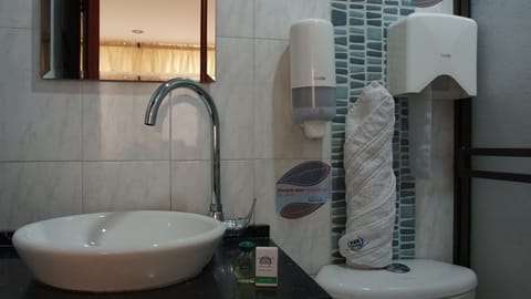 Double Room Single Use | Bathroom | Shower, free toiletries, towels