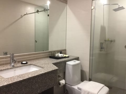 Premier Suite | Bathroom | Shower, free toiletries, hair dryer, slippers