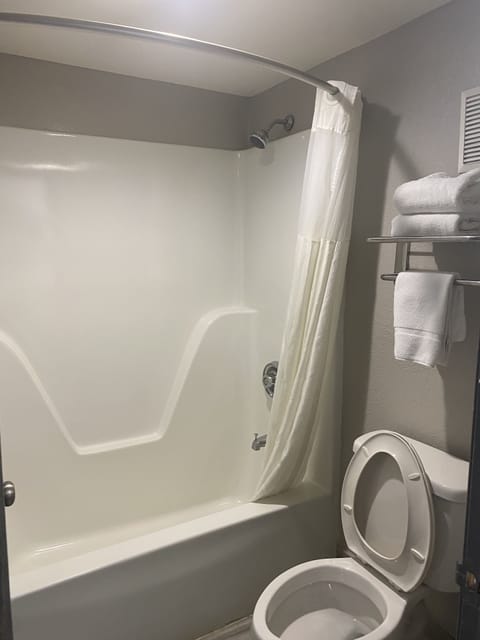 Combined shower/tub, free toiletries, hair dryer, towels