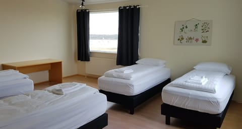 Triple Room, Shared Bathroom | Desk, free WiFi, bed sheets