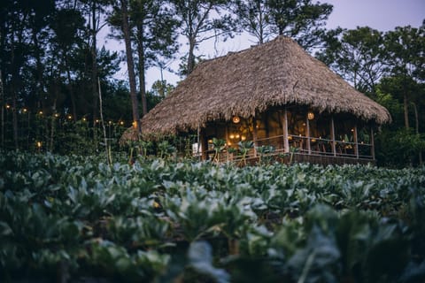 3 restaurants, breakfast, lunch, dinner served; Italian cuisine