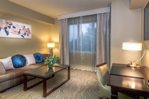Junior Suite, 1 King Bed with Sofa bed, Fireplace | Living room | 42-inch flat-screen TV with cable channels, TV, iPod dock