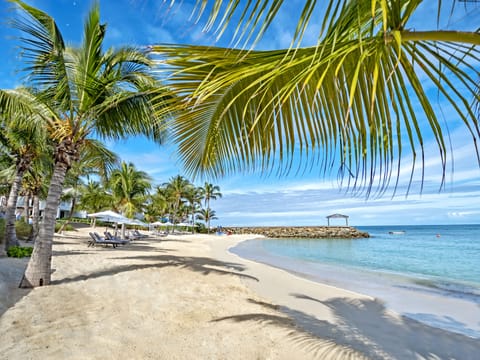 On the beach, white sand, snorkeling, kayaking