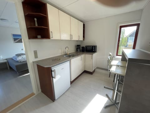 Comfort Studio | Private kitchen | Fridge, microwave