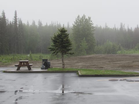 BBQ/picnic area