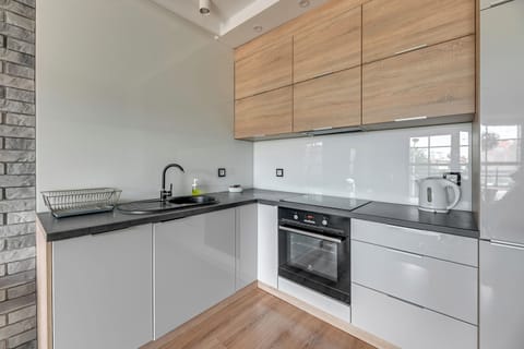 Comfort Apartment, 1 Bedroom, Balcony, City View | Private kitchenette | Full-size fridge, stovetop, dishwasher, electric kettle