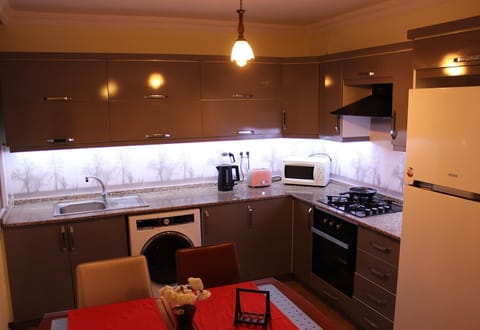 Executive Apartment | Private kitchen | Fridge