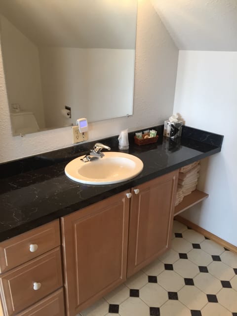 Panoramic Apartment | Bathroom | Combined shower/tub, free toiletries, hair dryer, slippers