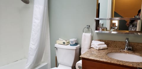 Walk in the Clouds Suite (Non-Pet Friendly) | Bathroom | Hair dryer, towels, soap, shampoo