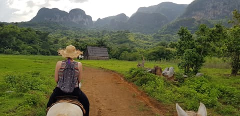 Horseback riding