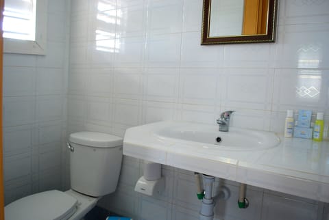 Comfort Double or Twin Room | Bathroom | Shower, free toiletries, hair dryer, towels