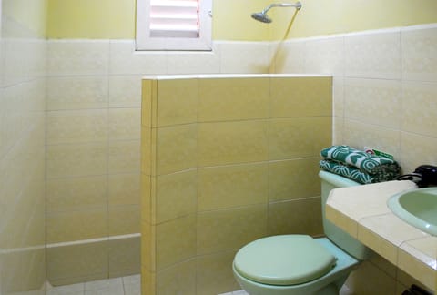 Classic Double or Twin Room | Bathroom | Shower, hair dryer, towels