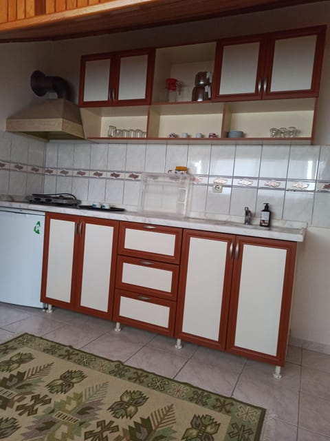 Family Penthouse, 2 Bedrooms | Private kitchen | Fridge, stovetop, coffee/tea maker, electric kettle