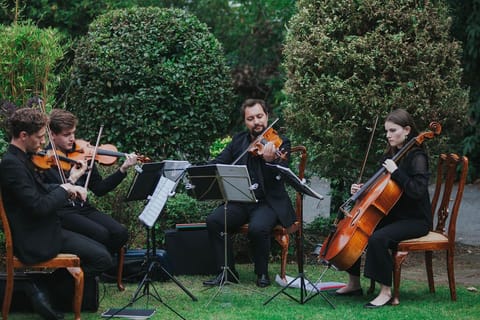 Outdoor wedding area