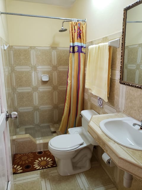 Double or Twin Room | Bathroom | Shower, free toiletries, hair dryer, towels