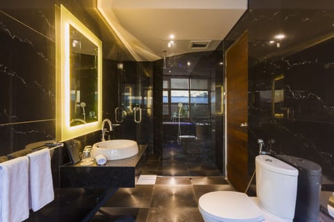 Deluxe Suite | Bathroom | Shower, rainfall showerhead, free toiletries, hair dryer