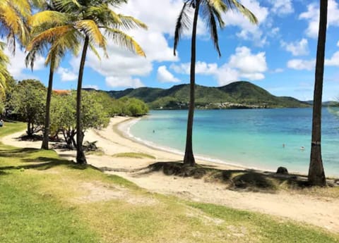 On the beach, white sand, snorkeling, kayaking