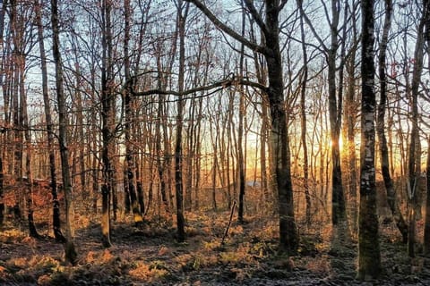 Region [summer] (>5 km)