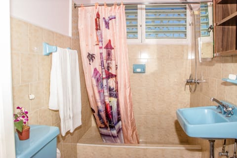 Double or Twin Room | Bathroom | Shower, hair dryer, towels